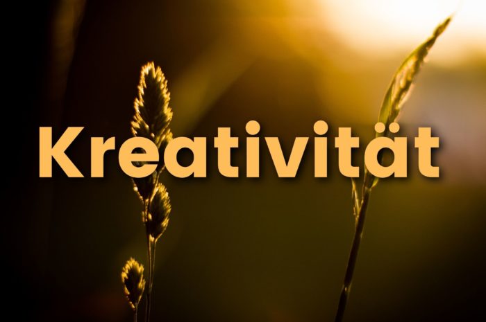 Wie man Kreativität und Innovation kultiviert