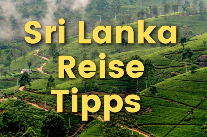 Einblicke in Geschichte, Kultur und Kreativität Sri Lankas